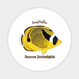 Raccoon Butterflyfish Magnet